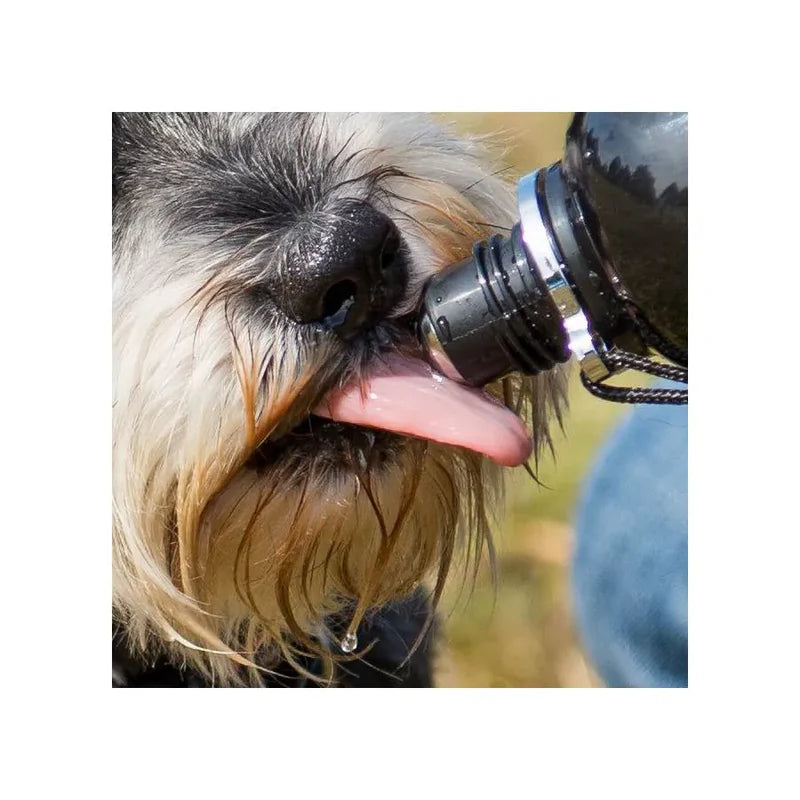 Gourde pour chiens pratiques - Pas de perte d'eau - Long Paws - Pratique en randonnée ou pour le sport canin