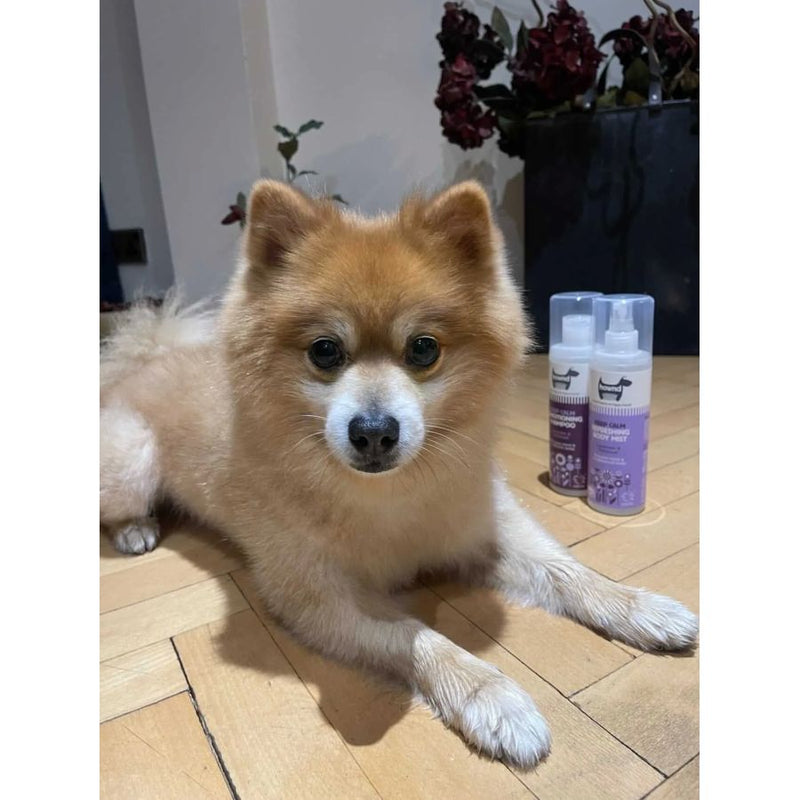 Shampoing pour chiens, chats et chevaux - Keep Calm Hownd - Réduit l'anxiété - 250ml - A associer avec le parfum pour chiens.
