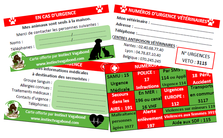 présentation de la carte d'urgence au format CB d'Instinct Vagabond