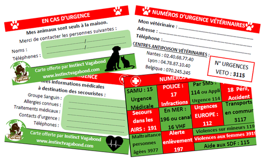 présentation de la carte d'urgence au format CB d'Instinct Vagabond