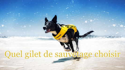 Comment bien choisir le gilet de sauvetage de son chien