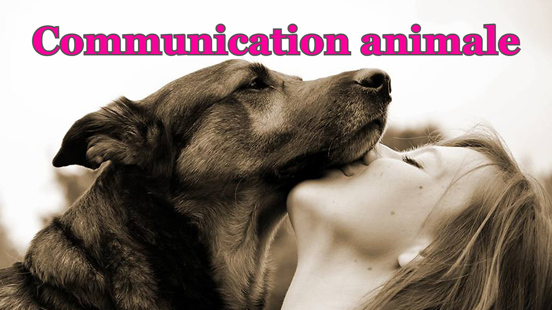 Communication animale : entendre et mieux comprendre son animal grâce à la communication intuitive
