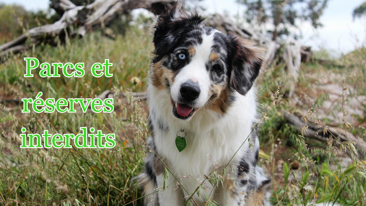 parcs et réserves interdits aux chiens 