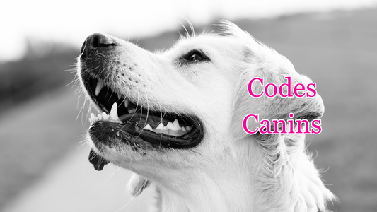 Les Codes Canins : savoir les reconnaître pour une meilleure communication avec son chien
