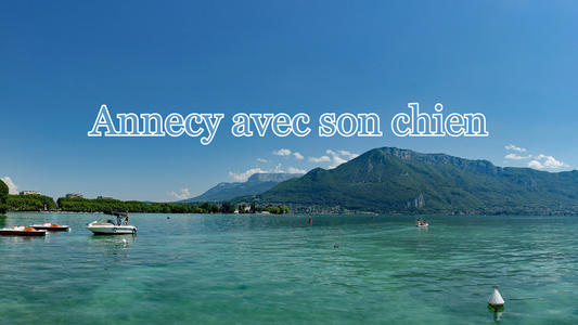 Visiter Annecy avec son chien 