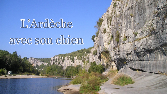 Voyager avec son chien en Ardèche : camping, kayak, grottes et randonnées dog-friendly