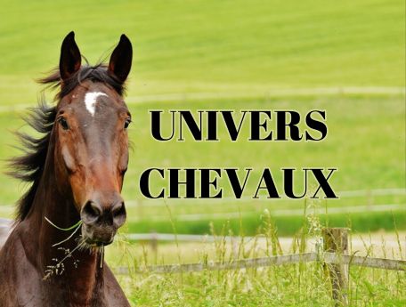 Chevaux
