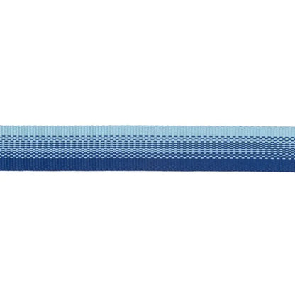 Collier pour chiens - Front Range Ruffwear - 2 coloris - Anneau de laisse et silencieux de médaille - Bleu détail couleur 