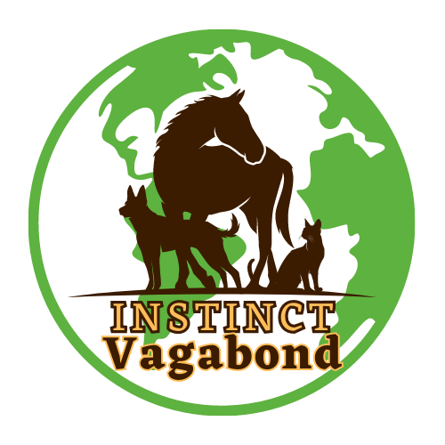 Instinct Vagabond