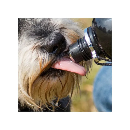 Gourde pour chiens pratiques - Pas de perte d'eau - Long Paws - Pratique en randonnée ou pour le sport canin 