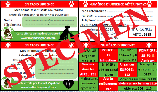 Carte d'urgence Instinct Vagabond — à télécharger gratuitement