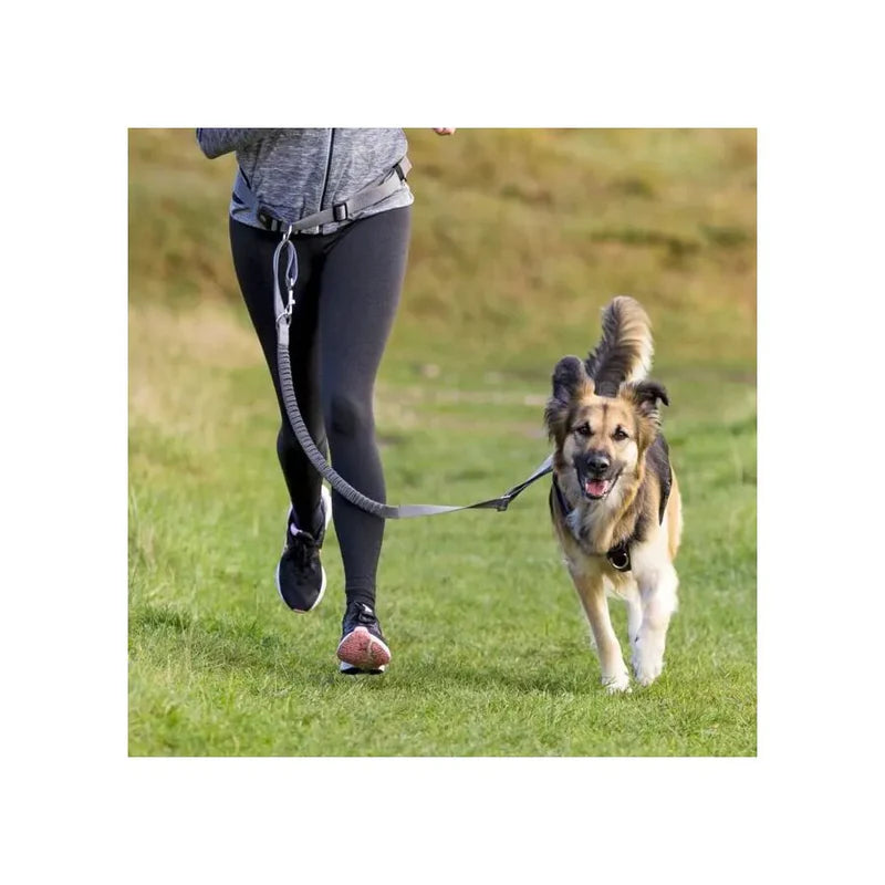Ceinture ventrale avec protection dorsale - Jogging - Chiens - Trixie 