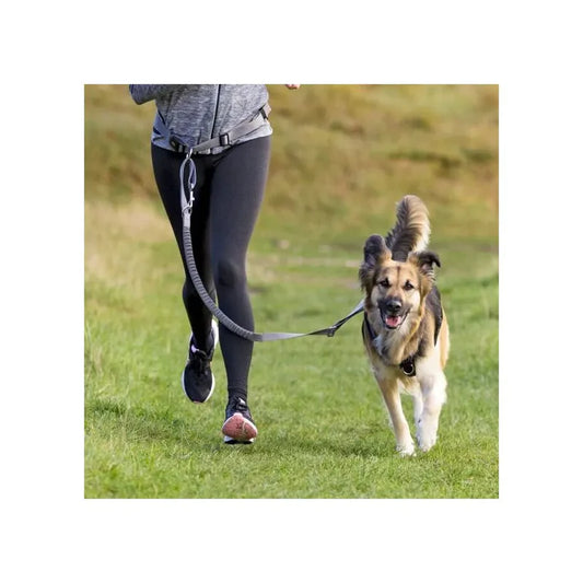 Ceinture ventrale avec protection dorsale - Jogging - Chiens - Trixie 