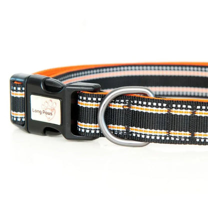 Collier pour chiens réfléchissant - Comfort Long Paws - Noir