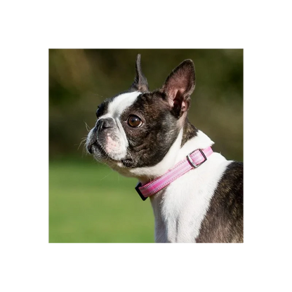 Collier pour chiens réfléchissant - Comfort Long Paws - Rose