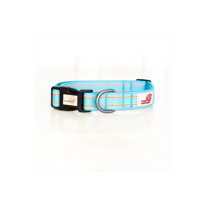 Collier pour chiens réfléchissant - Comfort Long Paws - Turquoise 