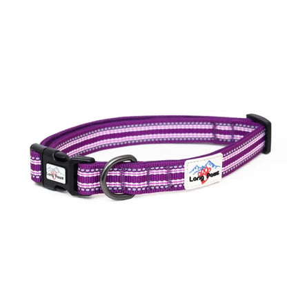 Collier pour chiens réfléchissant - Comfort Long Paws - Violet