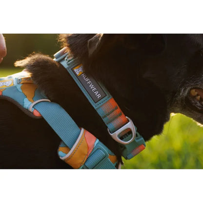 Collier pour chiens - Front Range Ruffwear - 2 coloris - Anneau de laisse et silencieux de médaille - Harnais et laisse assortis 