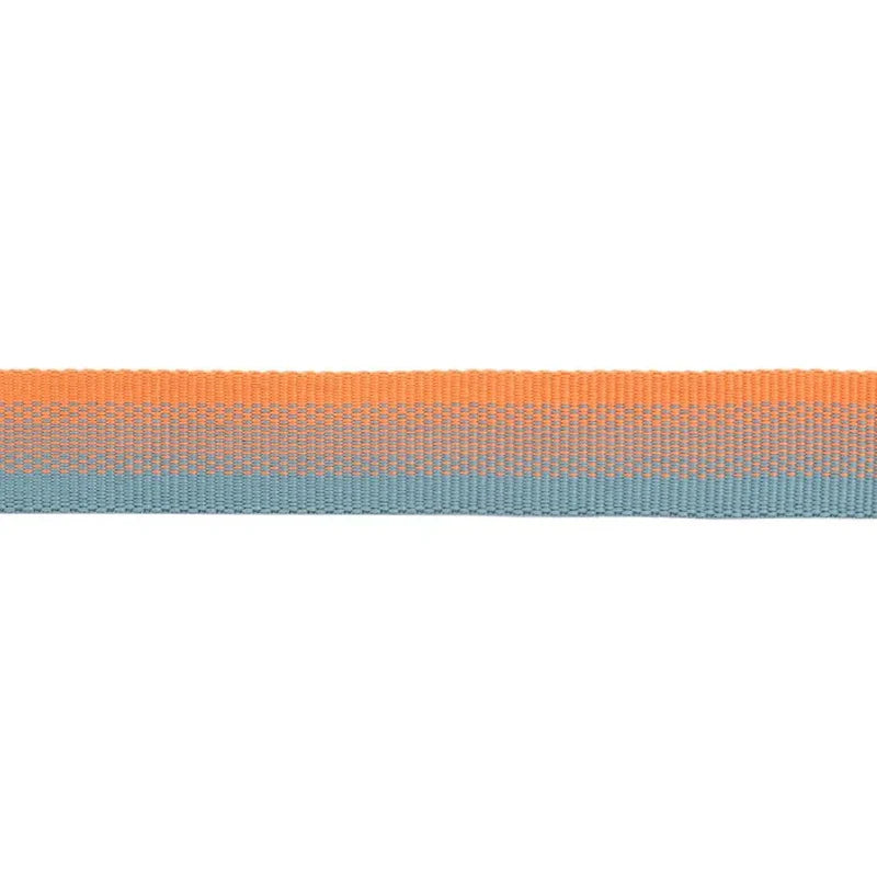 Collier pour chiens - Front Range Ruffwear - 2 coloris - Anneau de laisse et silencieux de médaille - Orange détails couleur 