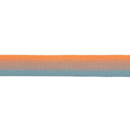 Collier pour chiens - Front Range Ruffwear - 2 coloris - Anneau de laisse et silencieux de médaille - Orange détails couleur 