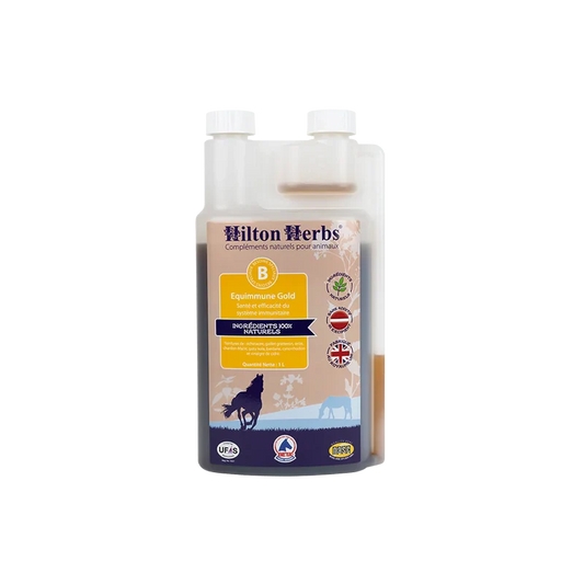 Complément alimentaire naturel liquide pour chevaux - Immunité renforcée - 1 litre - Hilton Herbs 