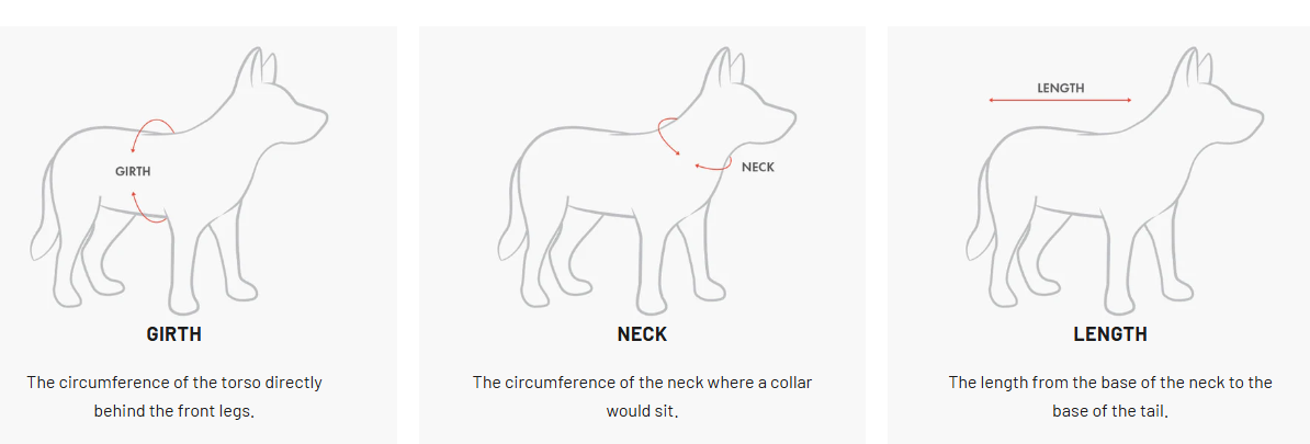 Ezydog - Comment mesurer votre chien 