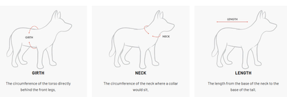 Ezydog - Comment mesurer votre chien 