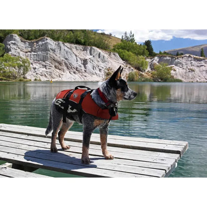 Gilet de sauvetage pour chiens - Veste de flottaison - Harnais d'aide à la nage - Sécurité sports canins aquatiques - Hydrothérapie - 5 tailles 