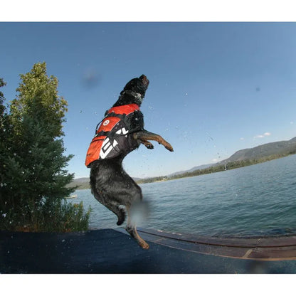 Gilet de sauvetage pour chiens - Veste de flottaison - Harnais d'aide à la nage - Sécurité sports canins aquatiques - Hydrothérapie - Ergonomique 