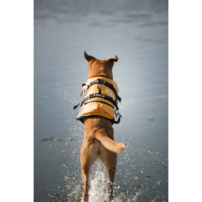 Gilet de sauvetage pour chiens - Veste de flottaison - Harnais d'aide à la nage - Sécurité sports canins aquatiques - Hydrothérapie - Vacances à la mer avec son chien