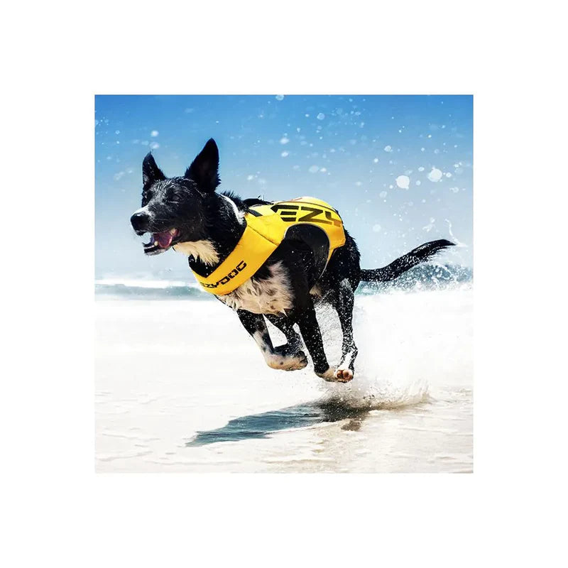 Gilet de sauvetage pour chiens - Gilet de flottaison - Aide à la nage - Sécurité sports aquatiques canins - DFD X2 Boost - Ezydog - Ergonomique 
