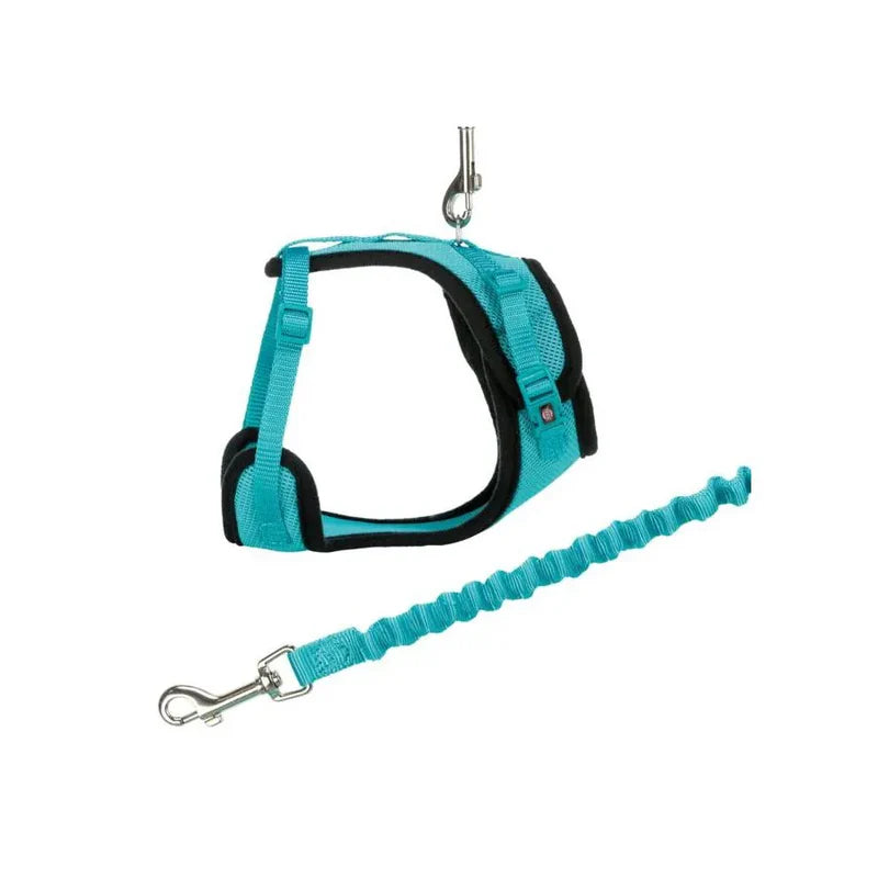 Harnais de promenade pour chats - Avec longe élastique - Trixie - Turquoise 