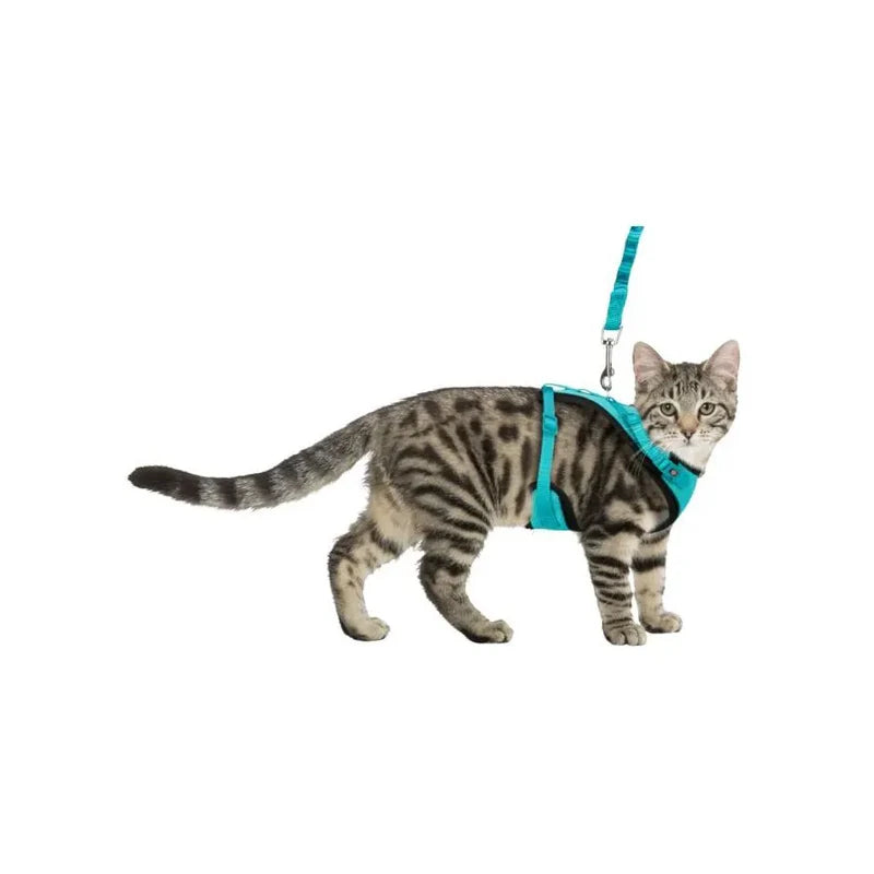 Harnais de promenade pour chats - Avec longe élastique - Trixie 