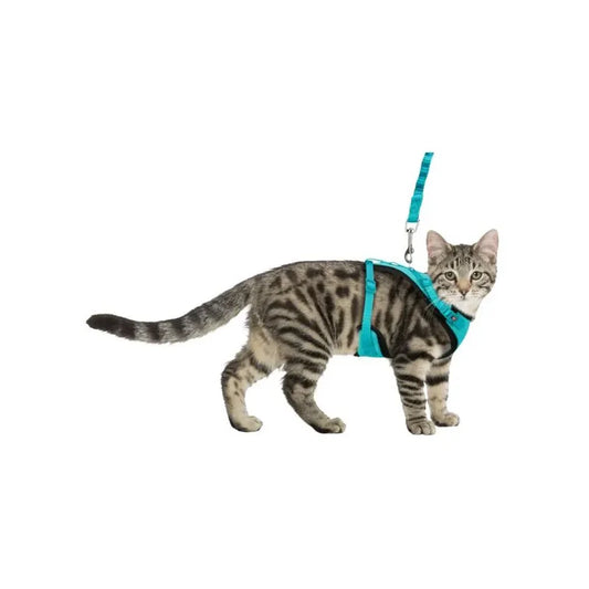 Harnais de promenade pour chats - Avec longe élastique - Trixie 