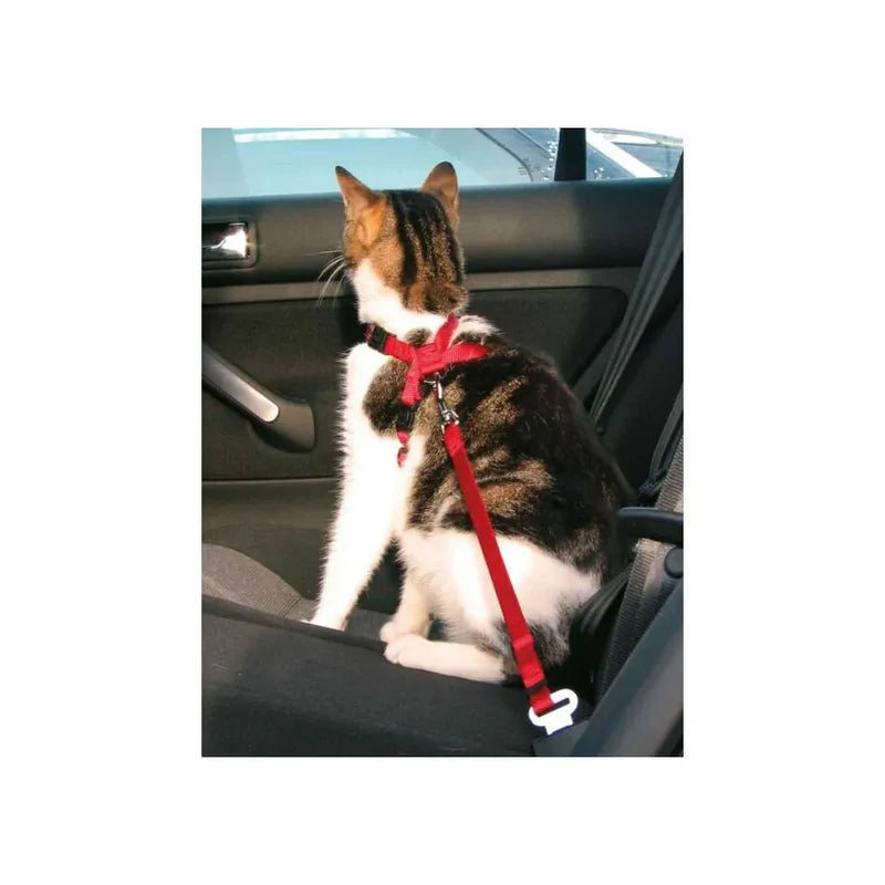 Harnais pour chats pour la sécurité en voiture - Rouge - Trixie 