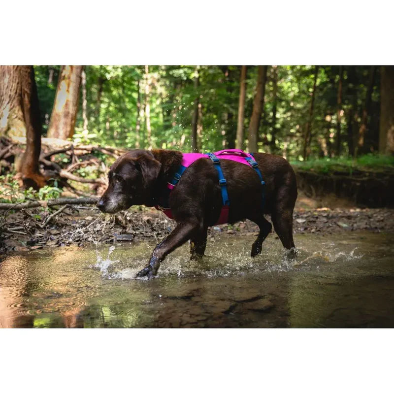 Harnais pour chiens léger et confortable, pliable - Flagline - Ruffwear - 2 coloris - 4 tailles - Haute visibilité avec le rose Alpenglow Pink 