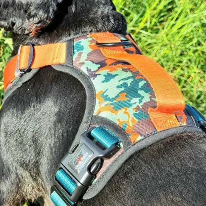 Harnais pour chiens en matériaux recyclés - Tailles S, M, L XL - Earth Friendly - Long Paws - Avec poignée 