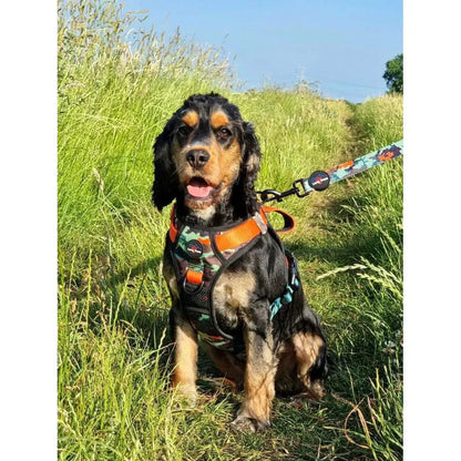 Harnais pour chiens en matériaux recyclés - Tailles S, M, L XL - Earth Friendly - Long Paws - Collier et laisse assortis 
