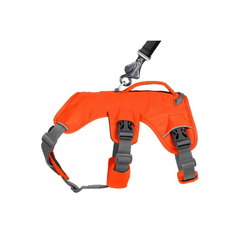 Harnais pour chiens - Randonnée - Sécurité - Webmaster - Ruffwear - Coloris orange fluo ou violet - 4 tailles - Vue de côté 2 attaches possible 