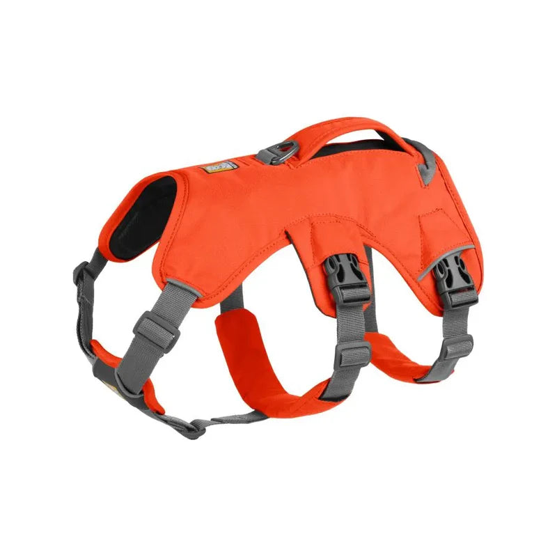 Harnais pour chiens - Randonnée - Sécurité - Webmaster - Ruffwear - Coloris orange fluo ou violet - 4 tailles   Orange