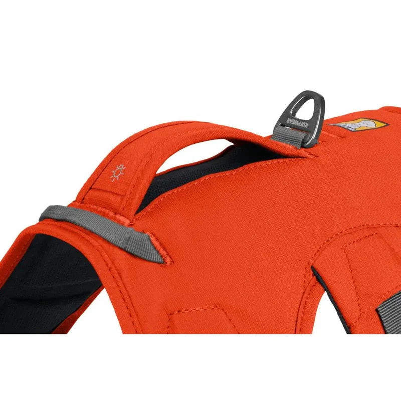 Harnais pour chiens - Randonnée - Sécurité - Webmaster - Ruffwear - Coloris orange fluo ou violet - 4 tailles   Poignée 