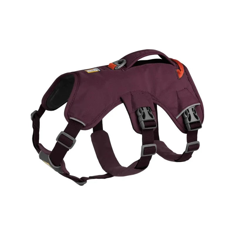 Harnais pour chiens - Randonnée - Sécurité - Webmaster - Ruffwear - Coloris orange fluo ou violet - 4 tailles   Violet 