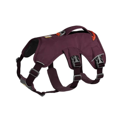 Harnais pour chiens - Randonnée - Sécurité - Webmaster - Ruffwear - Coloris orange fluo ou violet - 4 tailles   Violet 