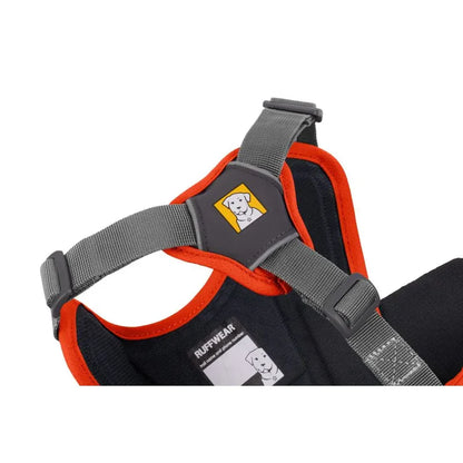 Harnais pour chiens - Randonnée - Sécurité - Webmaster - Ruffwear - Coloris orange fluo ou violet - 4 tailles   Vue de dessous 