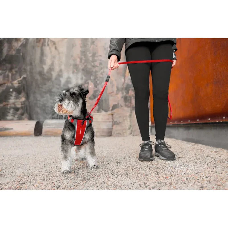 Harnais pour chiens confortable - X-Link -Ezydog - 5 tailles - 2 couleurs - 2 points d'attache pour la laisse - Laisse assortie 