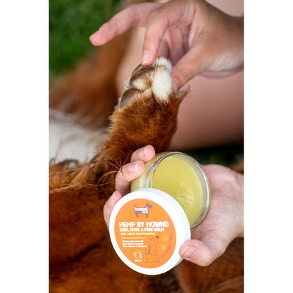 Baume Vegan & Cruelty Free pour peau, pattes et truffe du chien - Hownd - En été