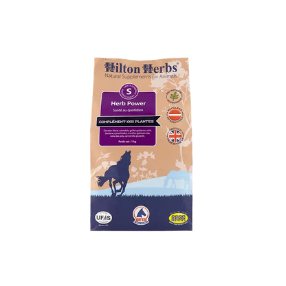 Complément alimentaire en poudre pour chevaux - Plantes séchées - 1 kg - Hilton Herbs