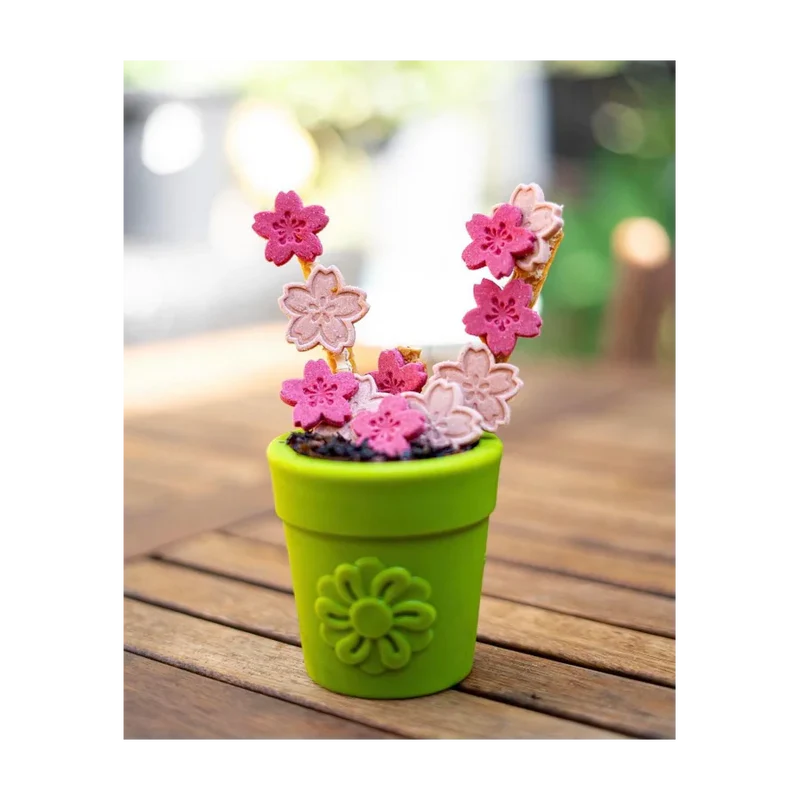 Jouet à mâcher pour chien - Flower Pot Sodapup - Distributeur de friandises