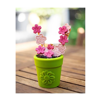 Jouet à mâcher pour chien - Flower Pot Sodapup - Distributeur de friandises