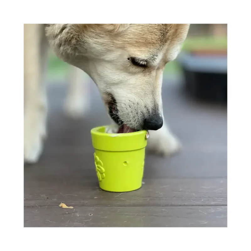 Jouet à mâcher pour chien - Flower Pot Sodapup - Occupation 
